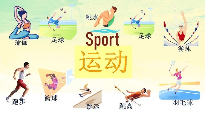 广东豪取12连胜