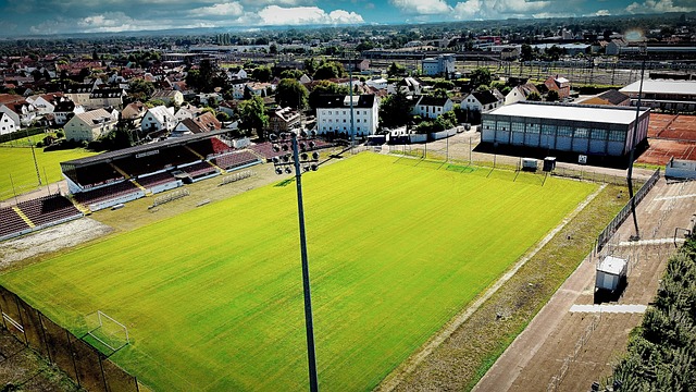 在全球化日 在全球化日