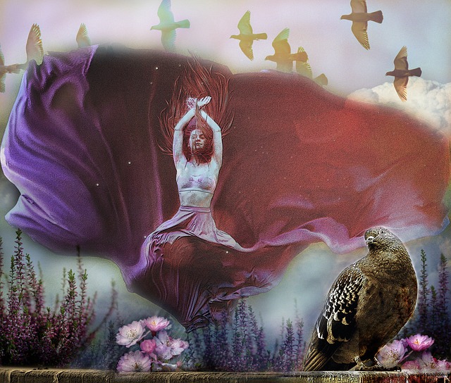 默契的组织 默契的组织