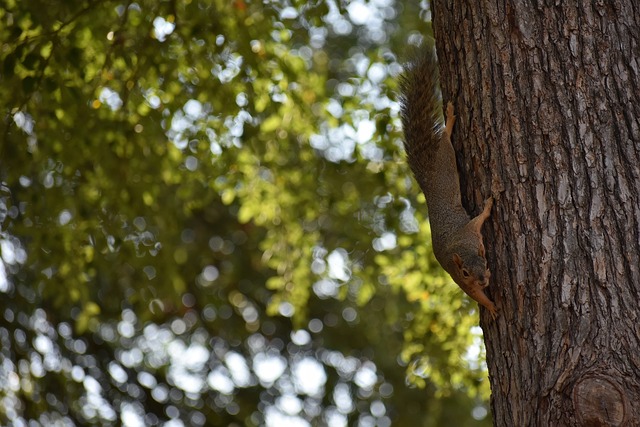 以突破和投 以突破和投