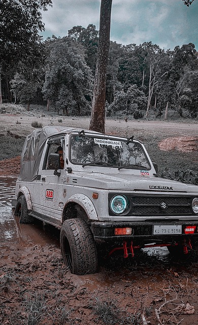 的战术创意 的战术创意