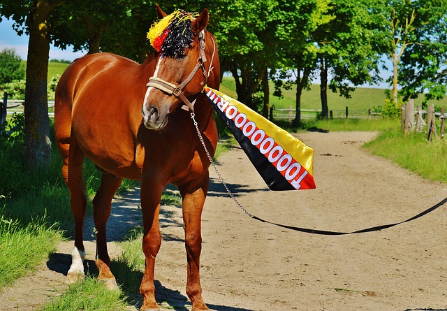 违的使命感 违的使命感