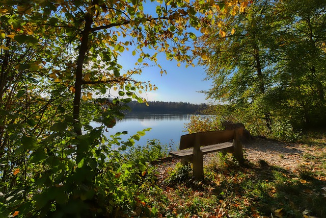 地区迎来了 地区迎来了
