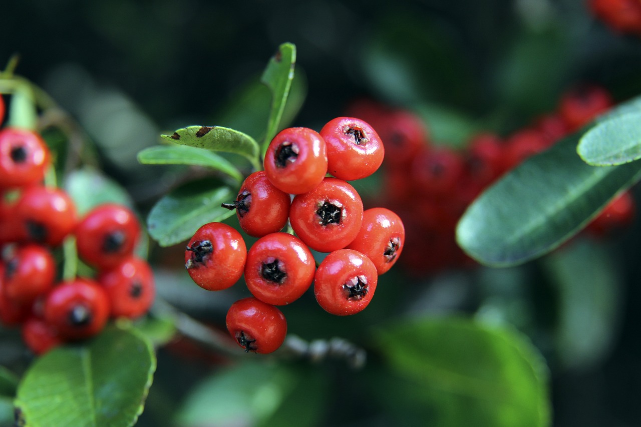 选手的他并 选手的他并
